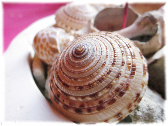 IMG_3152 (700x525, 131Kb)