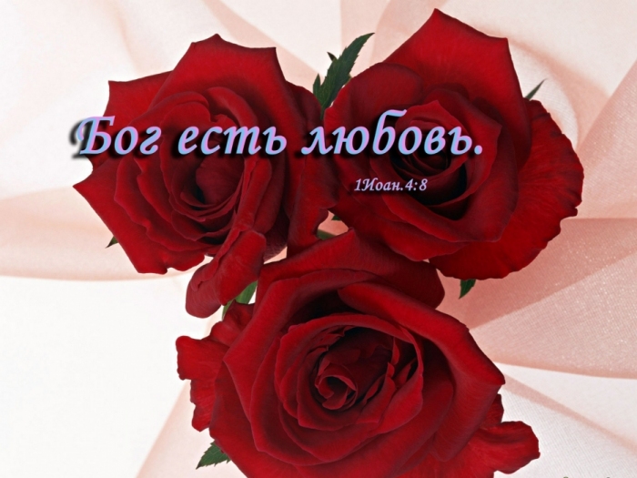 3475942_07 (700x525, 189Kb)