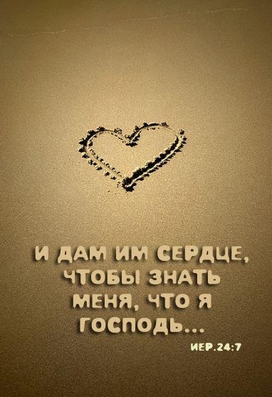 3475947_612bc41954 (382x557, 97Kb)