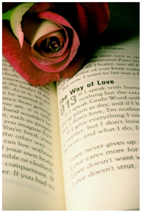 3476064_the_way_of_love_by_christians (468x700, 183Kb)