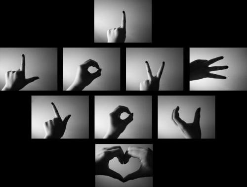 3476072_x_56063013 (500x378, 34Kb)