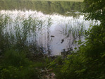  09072011244 (700x525, 148Kb)