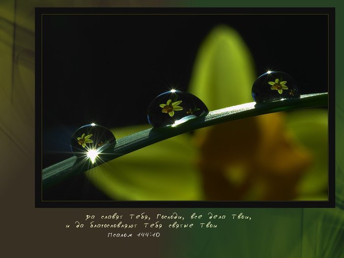 photo56 (700x525, 35Kb)