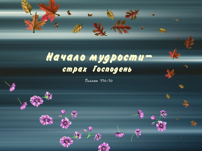 photo128 (700x525, 64Kb)