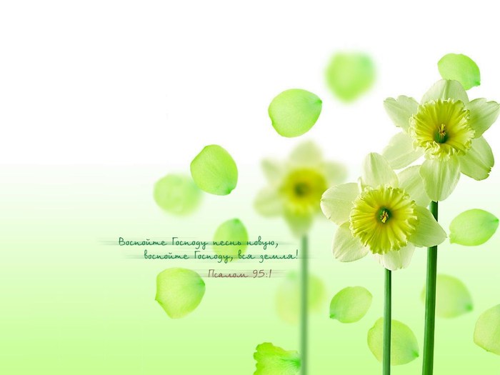 photo172 (700x525, 36Kb)