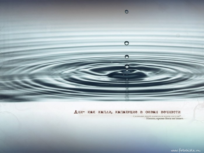 photo193 (700x525, 53Kb)