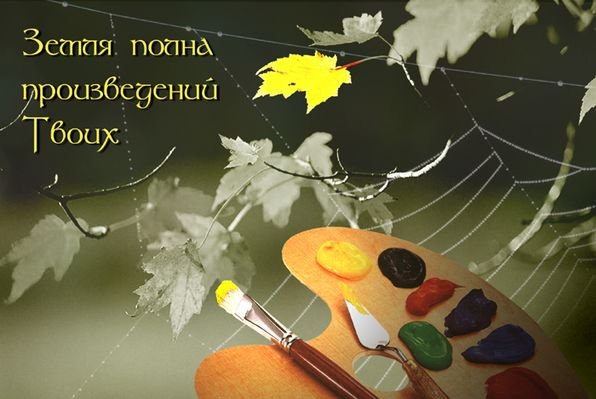x_6e3fa30c (596x399, 43Kb)