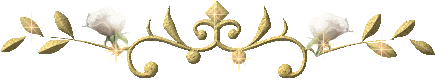 21 (435x80, 22Kb)