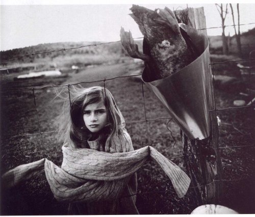 sally-mann-dead-duck (500x426, 47Kb)