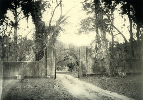 sally-mann-deep-south-10 (500x350, 52Kb)