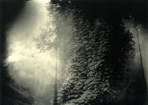 sally-mann-deep-south-17 (500x354, 30Kb)