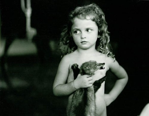 sally-mann-holding-the-weasel (500x389, 25Kb)