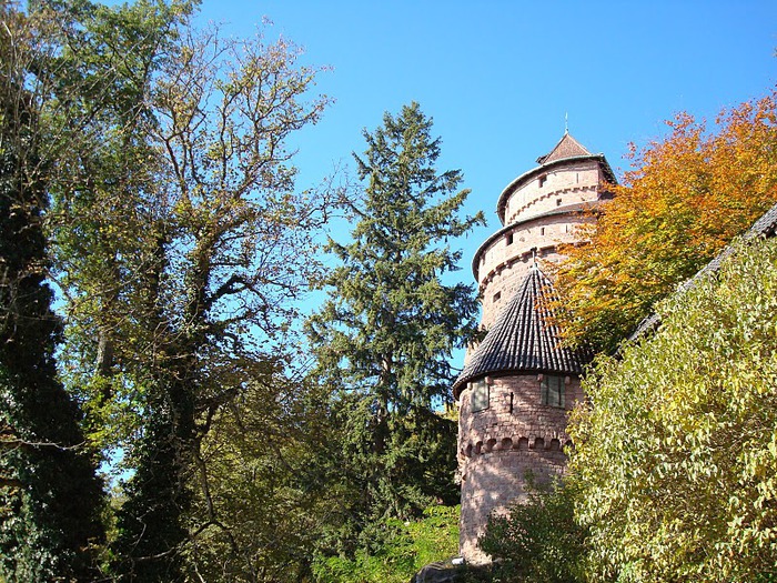 Замок Верхний Кенигсбург (Chateau du Haut-Koenigsbourg) 40736