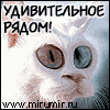 0_704ee_ce01bfe3_L (100x100, 6Kb)