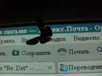  SDC15056 (700x525, 572Kb)