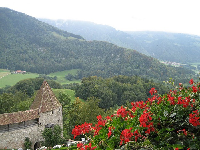 Замок графов де Грюйер (Chateau de Gruyeres) 80370