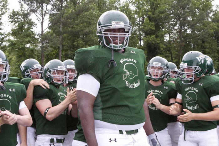 2806032_2009_the_blind_side_002_1_ (700x466, 282Kb)