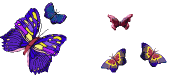 Бабочки летают! (360x150, 36Kb)