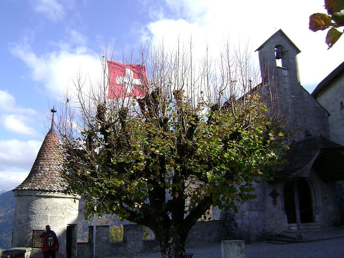 Замок графов де Грюйер (Chateau de Gruyeres) 69680