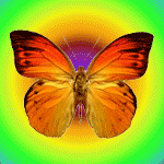 46461281_babochka2 (150x150, 68Kb)