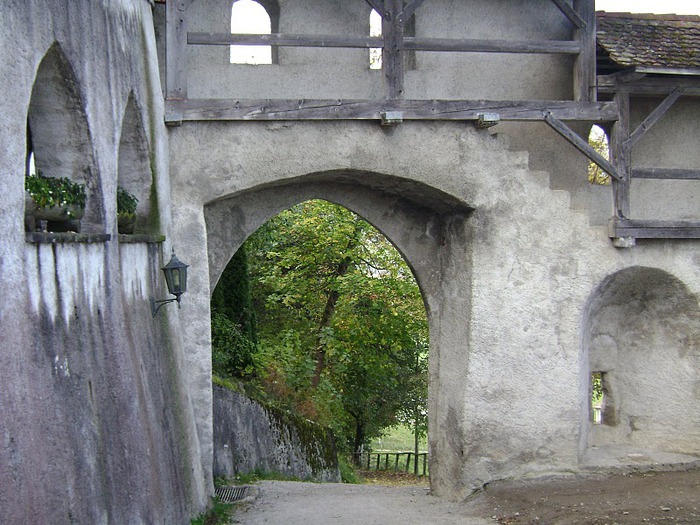 Замок графов де Грюйер (Chateau de Gruyeres) 49560