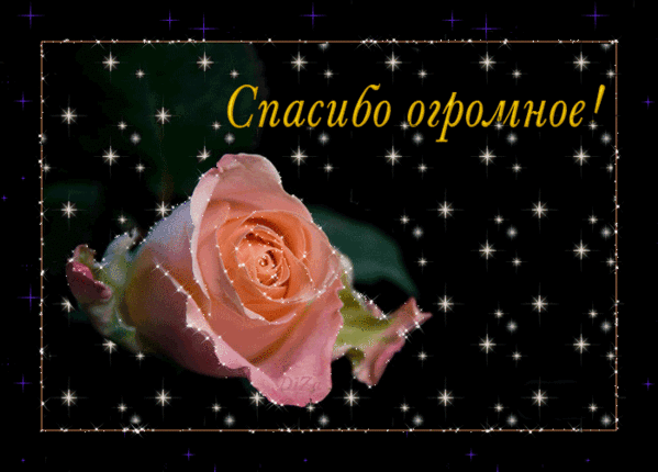  ))))))))---------------- (599x430, 217Kb)