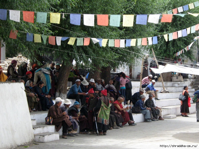 Indiya, Leh, Gompa, Shraddha, 8 (700x525, 327Kb)