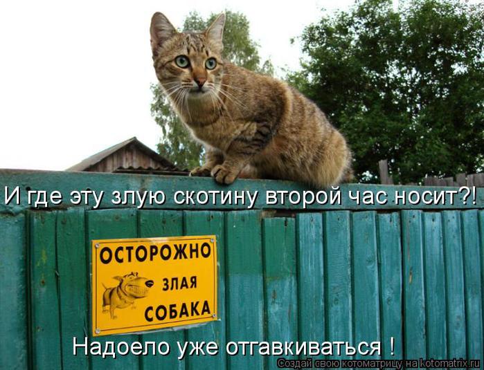 http://img1.liveinternet.ru/images/attach/c/3/77/117/77117705_968635.jpg