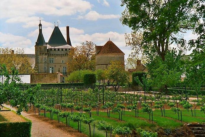 Французский замок Тальси (Chateau de Talcy)