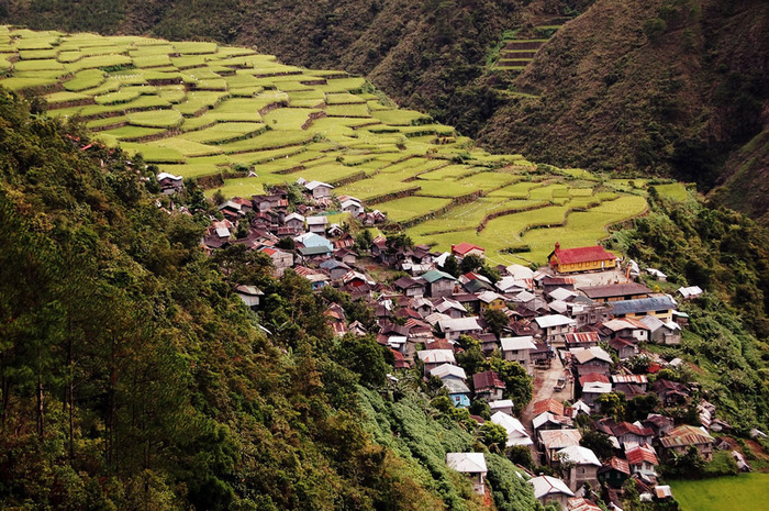 Bay-yo-Rice-Terraces-Bontoc-Mt.-Province (700x465, 216Kb)