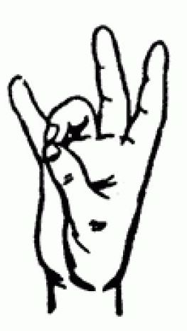 Пальцем в небо - символ единобожия у мусульман?