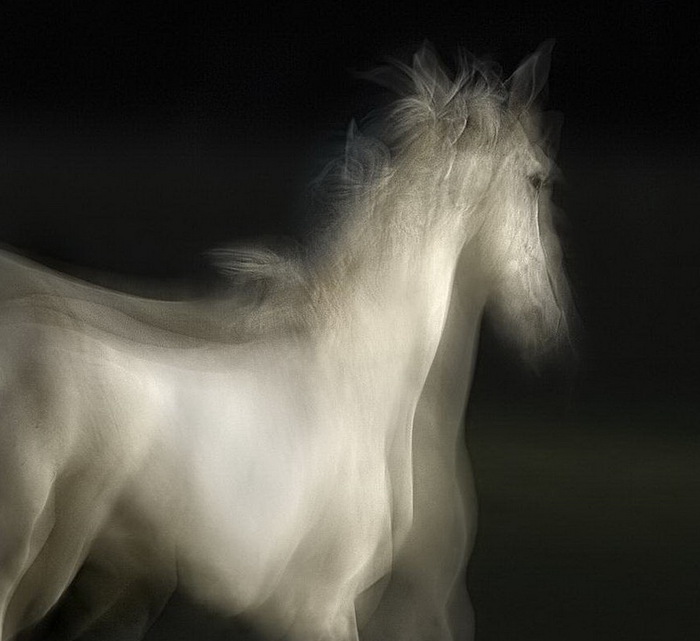 0e861faafb0b (700x641, 80Kb)