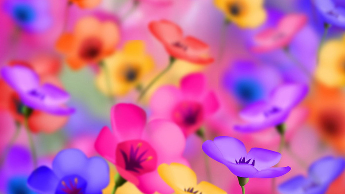1 Summer Flowers Colorful Meadow Wallpaper ABG Bugil Gambar Ngentot Foto Telanjang Tante Cantik