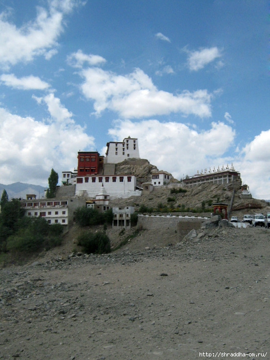Индия, Ладакх, Лех, монастырь Thiksay, 4 (525x700, 245Kb)