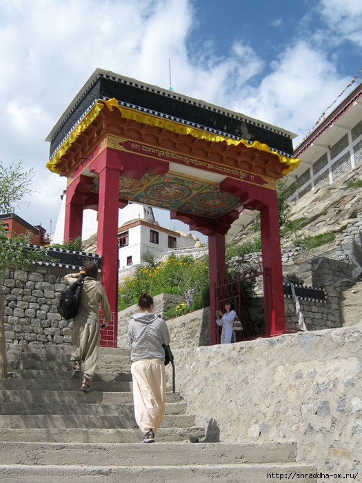 Индия, Ладакх, Лех, монастырь Thiksay, 9 (525x700, 301Kb)