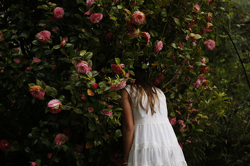 3749748_tumblr_lifq7wJlDW1qef21ko1_500 (500x333, 129Kb)