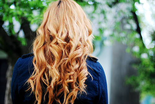 3749748_tumblr_ljtf7uy1Ct1qzrkblo1_500 (500x334, 131Kb)