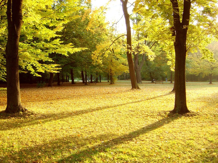 autumn-park-1280-960-2614 (700x525, 215Kb)