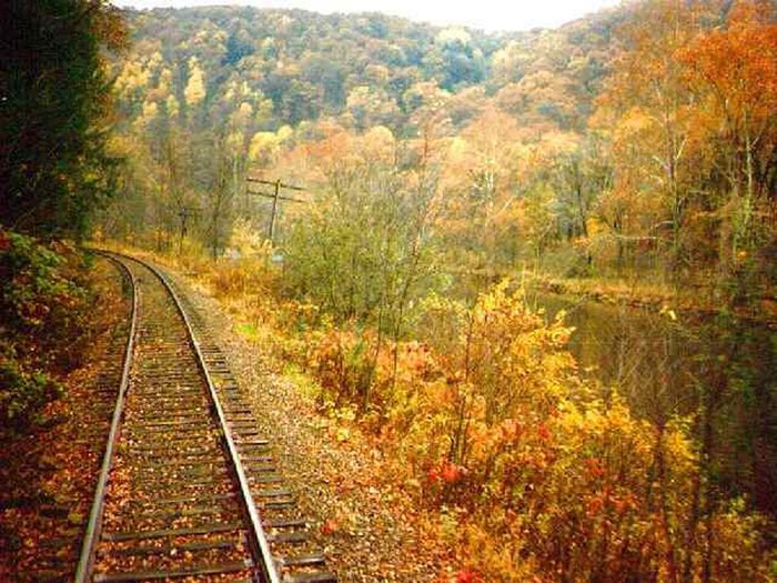 autumn-train-maple-leaves-31000 (700x525, 115Kb)