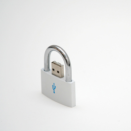 Safest-USB (500x500, 28Kb)