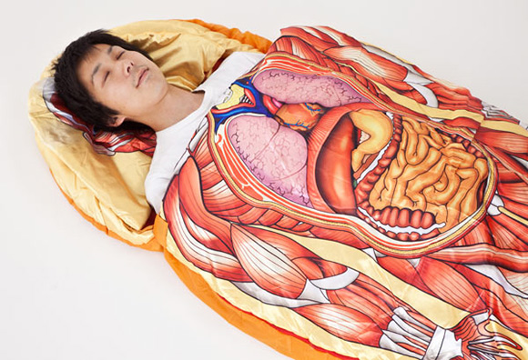 Anatomical-Model-Sleeping-Bag (580x396, 118Kb)