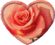 4cddd11258caaa23a943b445f4ee64f6 (79x65, 96Kb)