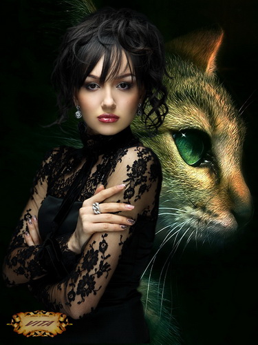 кот