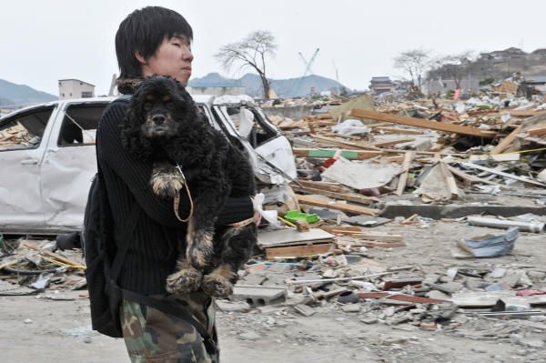 На что похож Апокалипсис - землетрясение и цунами в японии 94208