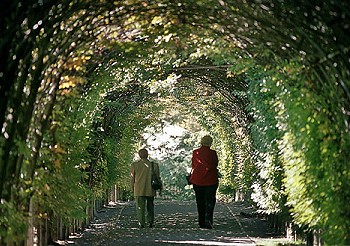 pergola4 (350x246, 47Kb)