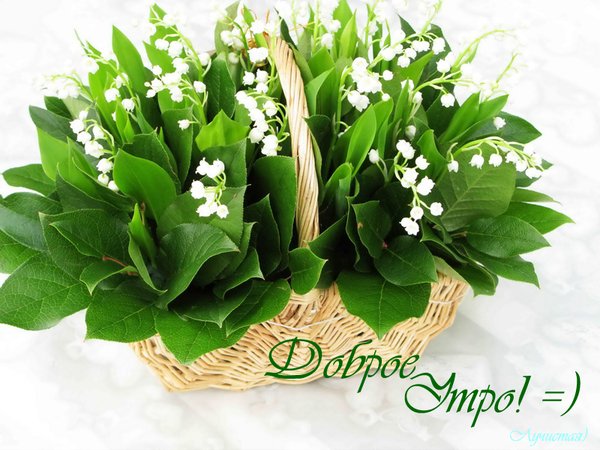 image002 (600x450, 69Kb)