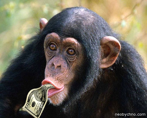 10-chimp-money (500x400, 126Kb)