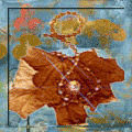 c (120x120, 18Kb)