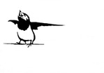  bird_stencil_by_rekrambo (700x489, 14Kb)