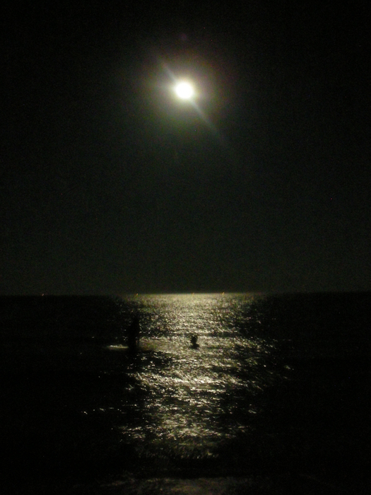 DSCN9983 (525x700, 266Kb)